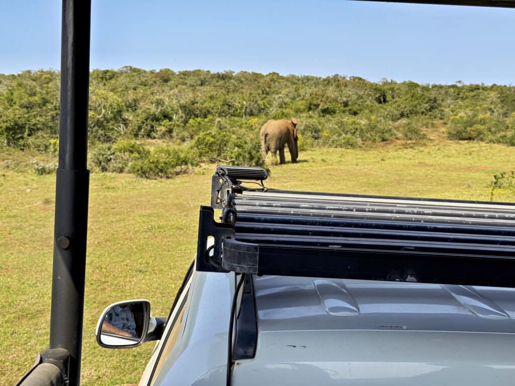 Schotia Private Game Reserve