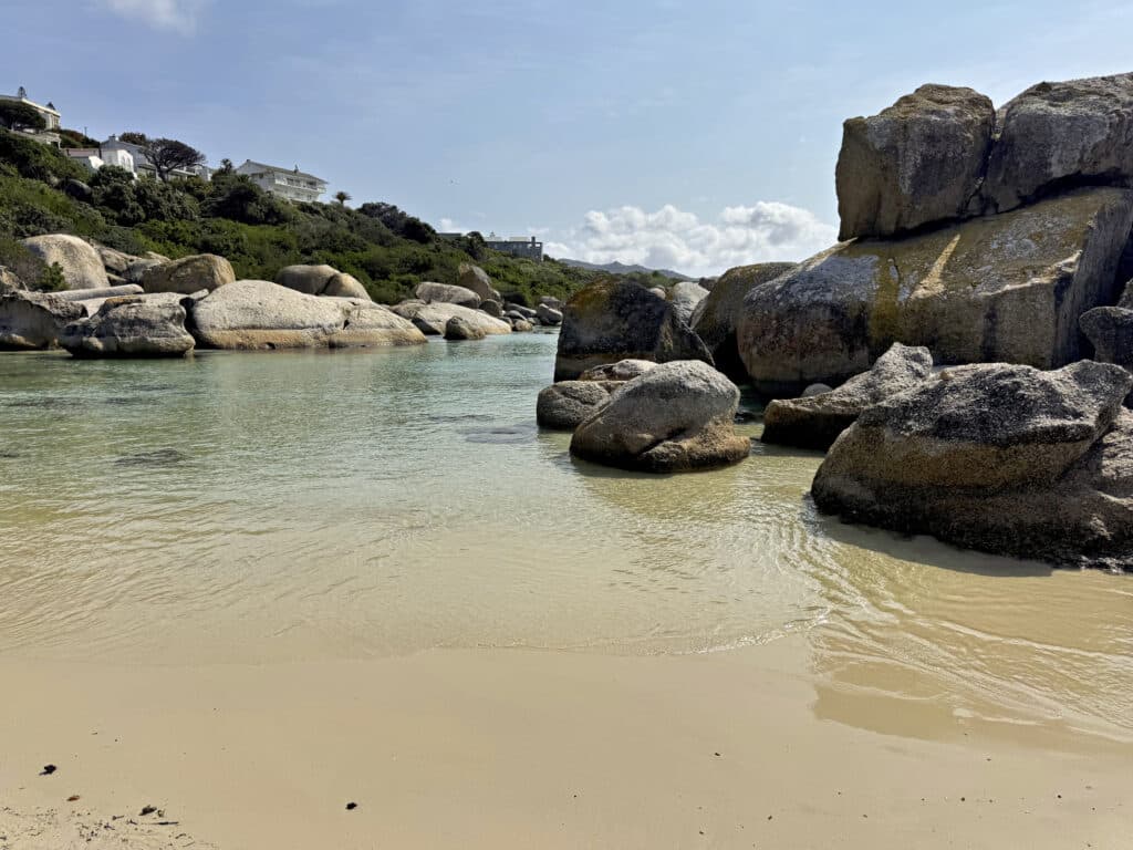 Boulders Beach in Simons Town - Pinguine am Kap der Guten Hoffnung