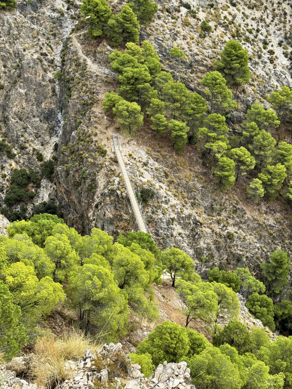 Sendero El Saltillo und Hängebrücke