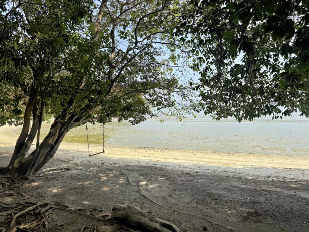 Penang Nationalpark Erfahrungen - lohnt sich der Besuch?