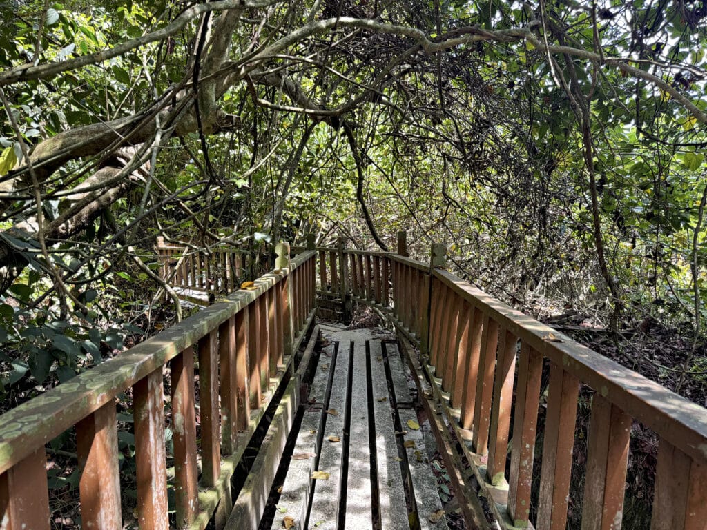 Wandern im Penang Nationalpark