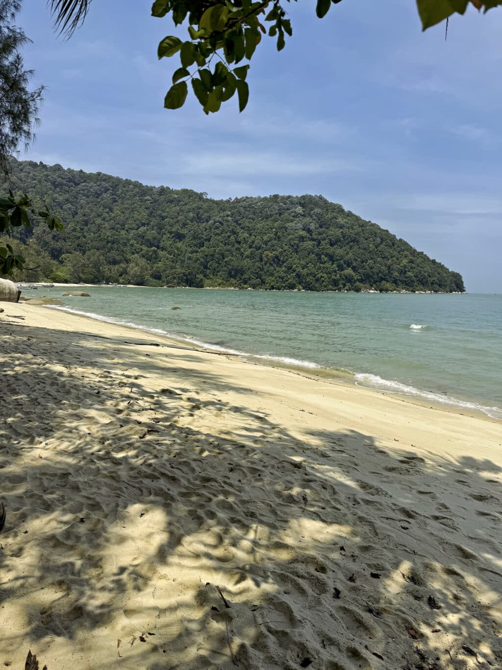 Monkey Beach im Penang Nationalpark