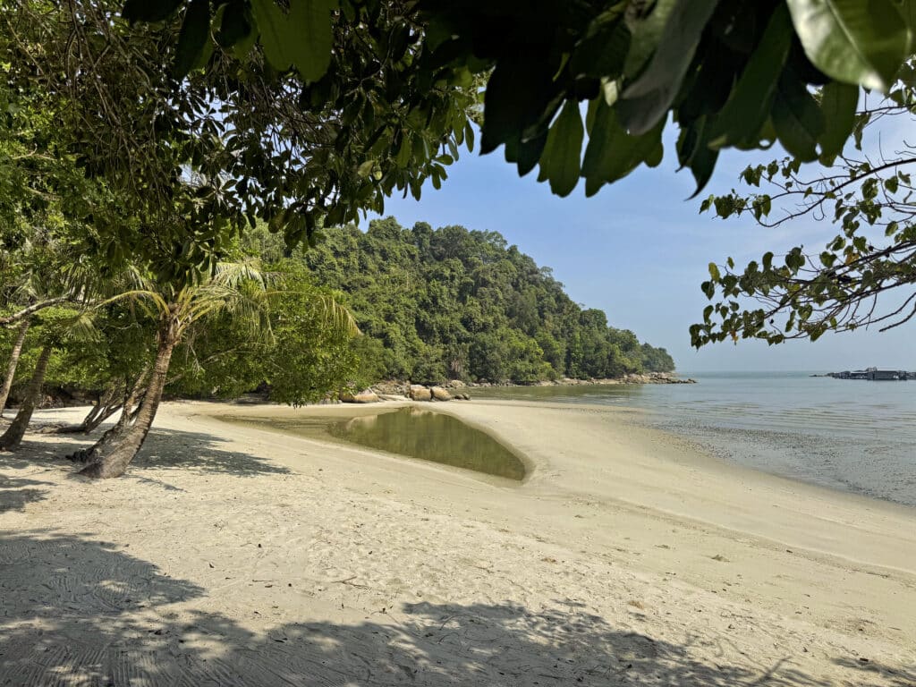 Penang Nationalpark Erfahrungen - lohnt sich der Besuch?
