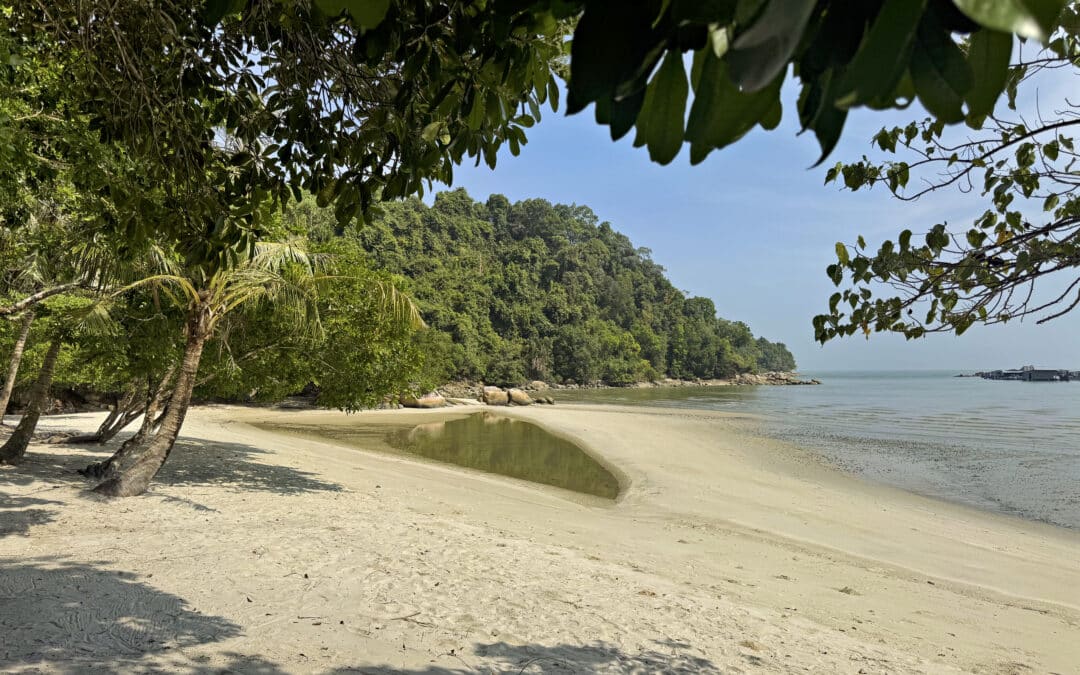 Penang Nationalpark Erfahrungen - lohnt sich der Besuch?