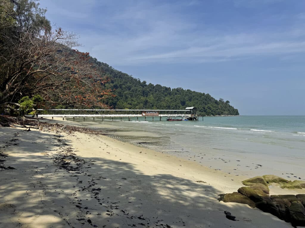 Penang Nationalpark Erfahrungen - lohnt sich der Besuch?