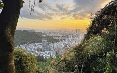 Elephant Mountain: Die bekannteste Wanderung mit Blick auf den Taipei 101