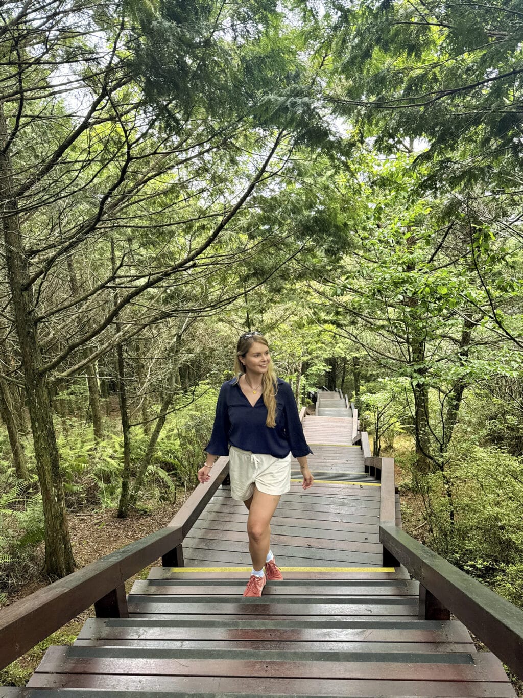 Guanwu Forest Recreation Area