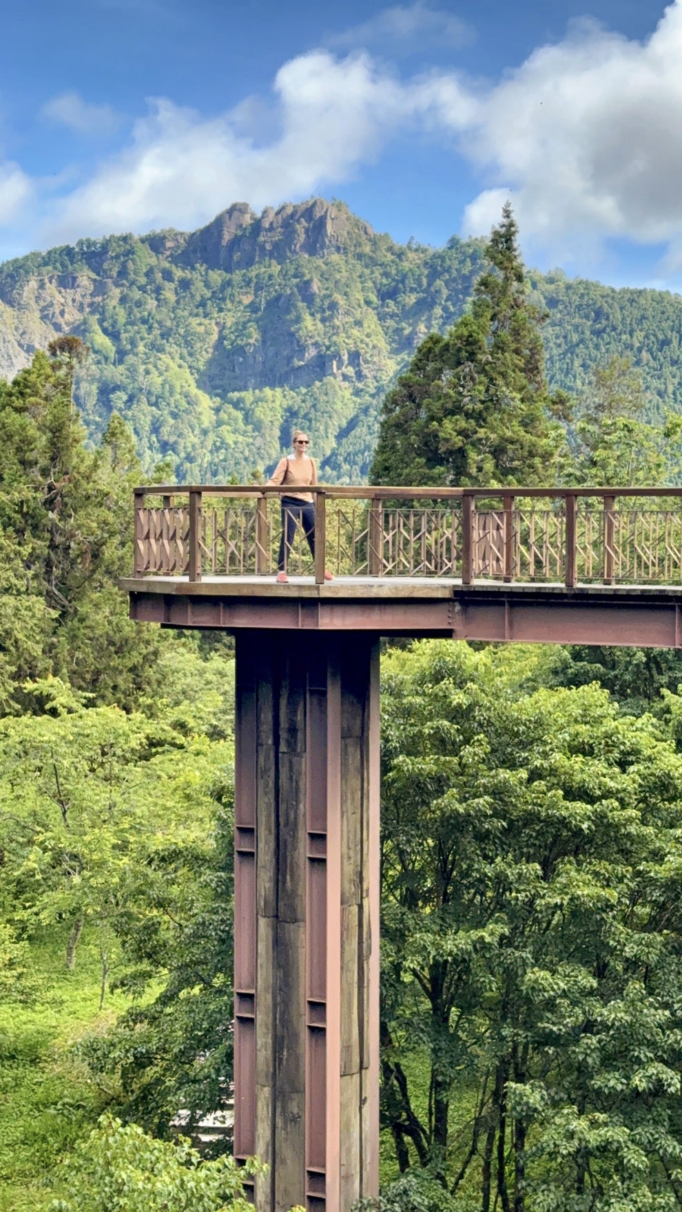 Alishan in Taiwan: die schönsten Trails, Teeplantagen und Tipps zur Anreise
