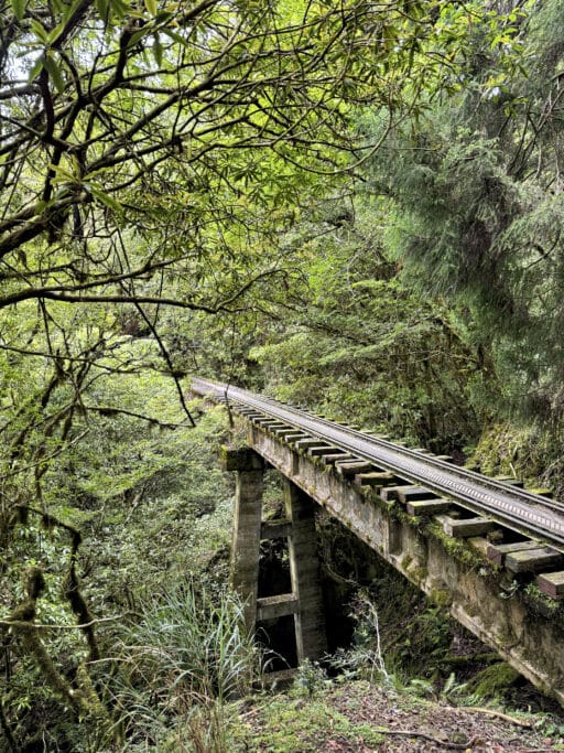 Mianyue Line Trail - Alishan