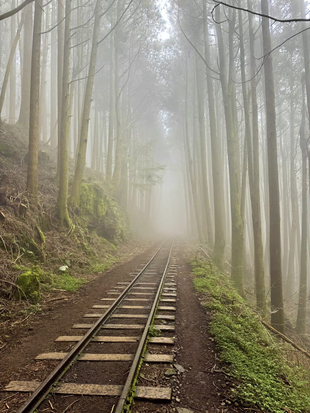 Mianyue Line Trail - Alishan