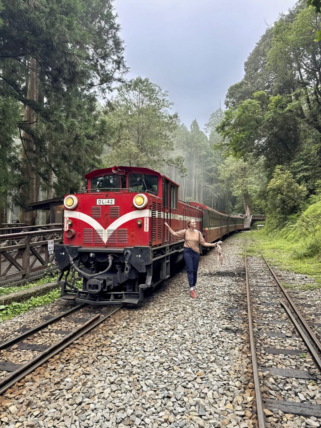 Alishan National Forest Railway