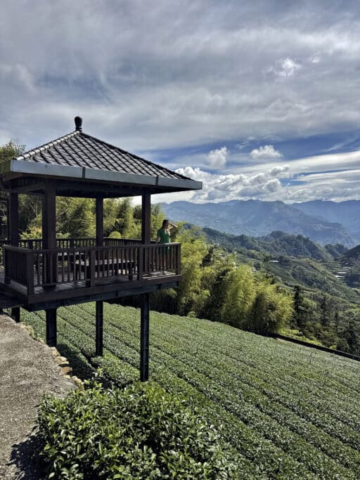 Tea and Mist Trail in Xiding