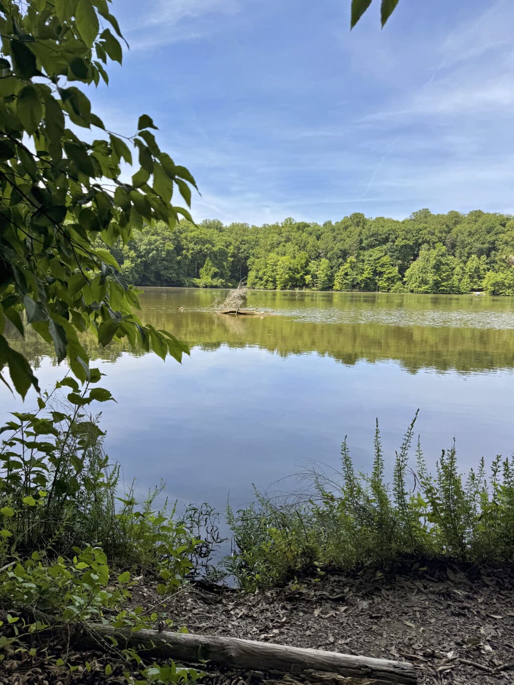 Bull Run Occoquan Trail