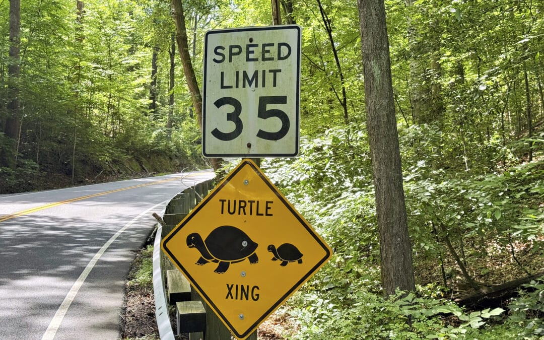 Fairfax County in Virginia: Die schönsten Sehenswürdigkeiten und Reisetipps