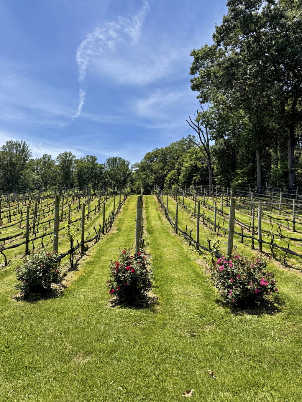 Paradise Springs Winery