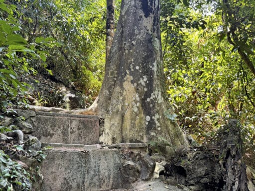 Mu Ko Lanta Nationalpark