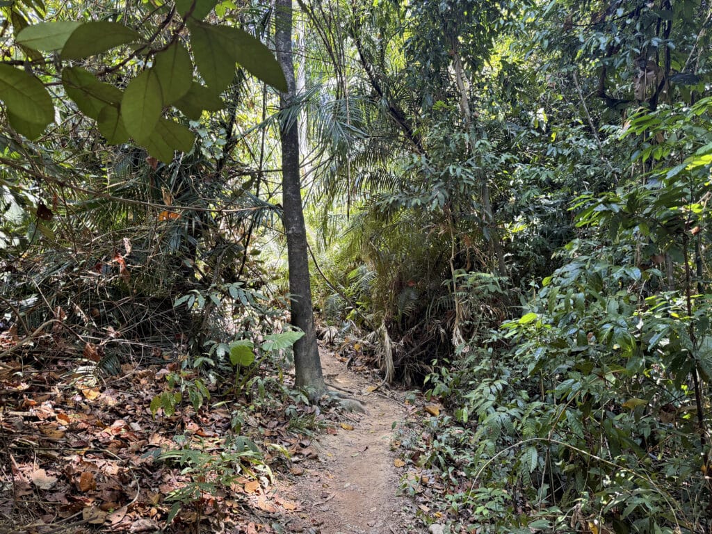 Mu Ko Lanta Nationalpark: Wandern, Strände und Tipps für euren Besuch