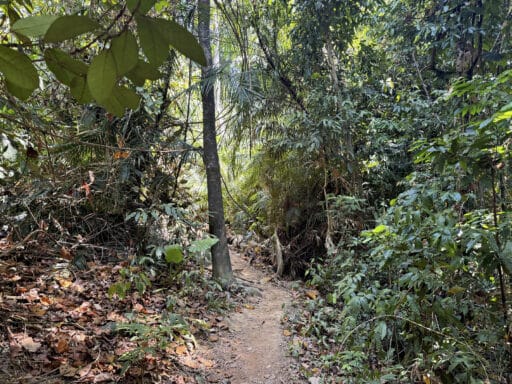 Mu Ko Lanta Nationalpark: Wandern, Strände und Tipps für euren Besuch