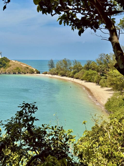 Der Naturpfad durch den Regenwald - Wandern im Koh Lanta Nationalpark