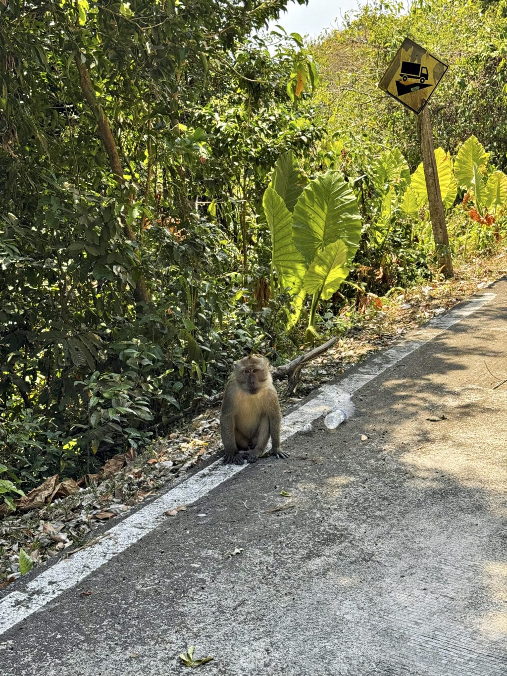 Mu Ko Lanta Nationalpark: Wandern, Strände und Tipps für euren Besuch