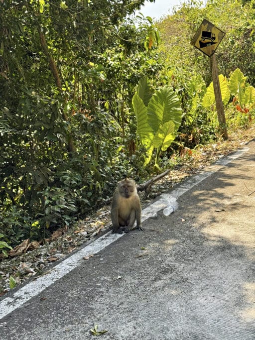Mu Ko Lanta Nationalpark: Wandern, Strände und Tipps für euren Besuch