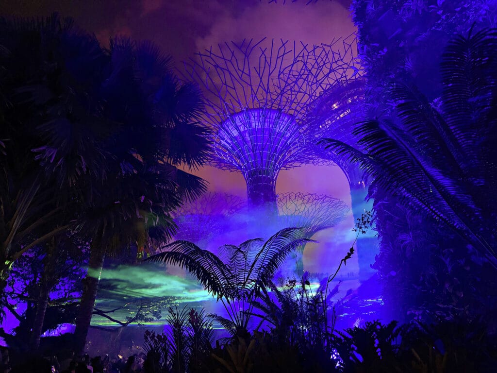 Borealis Show Singapur