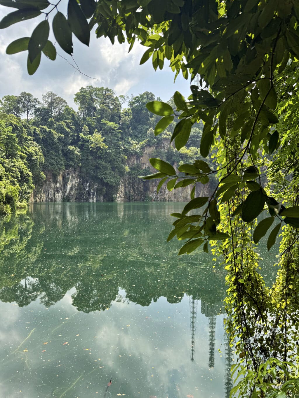 Das Bukit Timah Nature Reserve: Regenwald und Wandern in Singapur