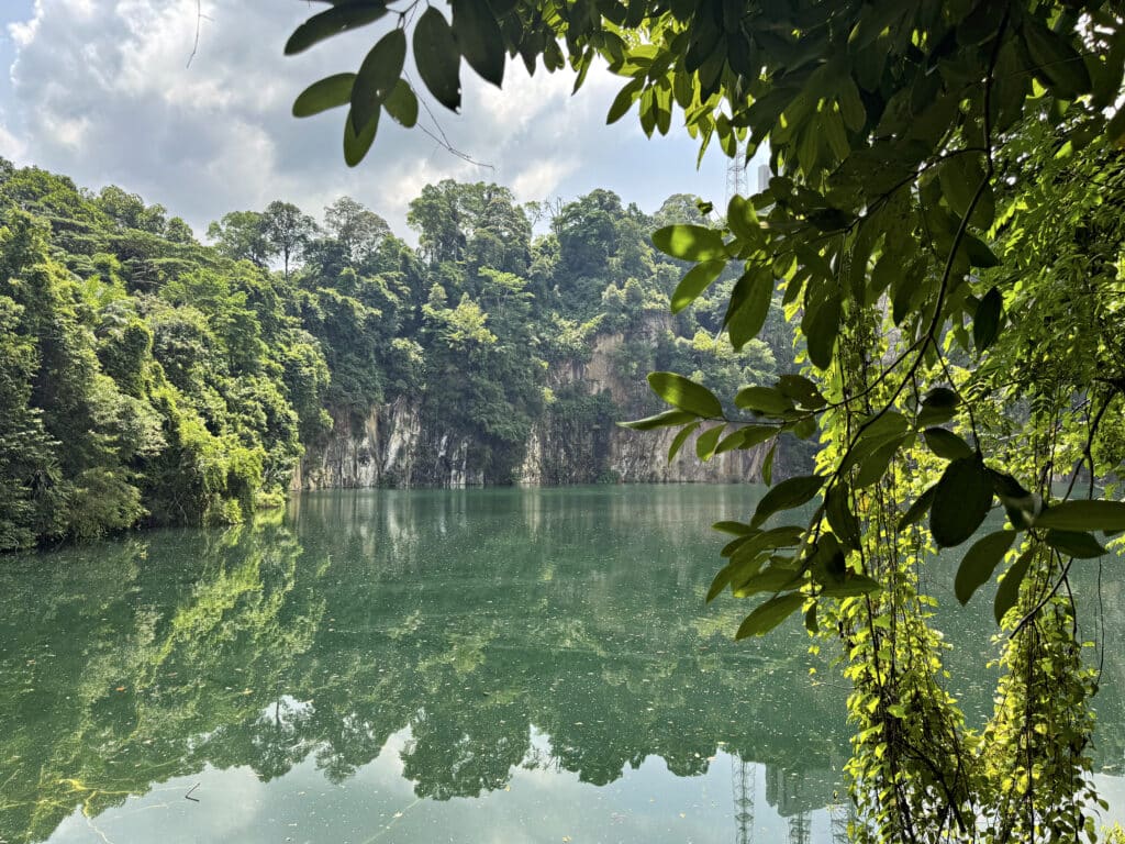 Das Bukit Timah Nature Reserve: Regenwald und Wandern in Singapur