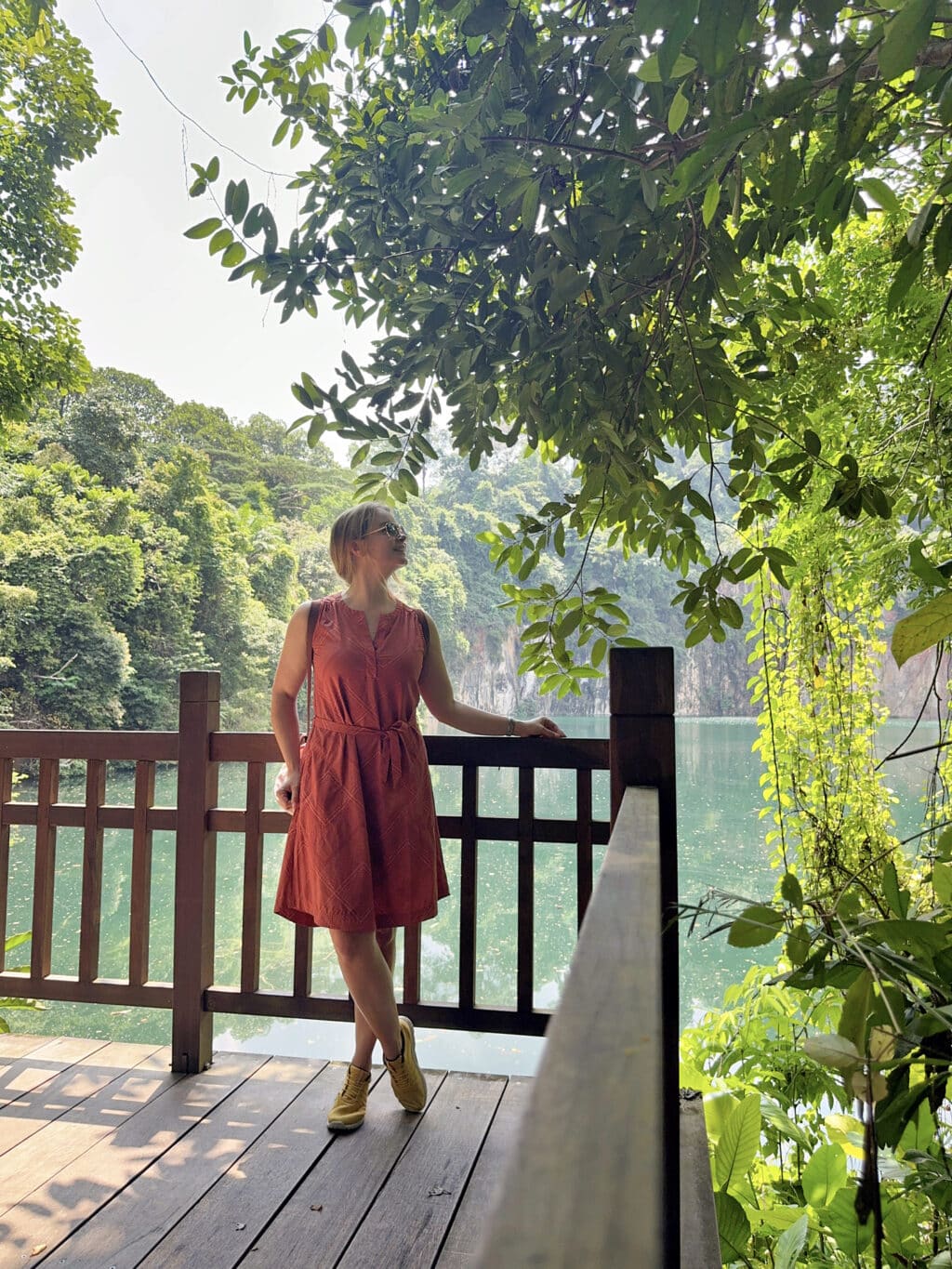 Das Bukit Timah Nature Reserve: Regenwald und Wandern in Singapur