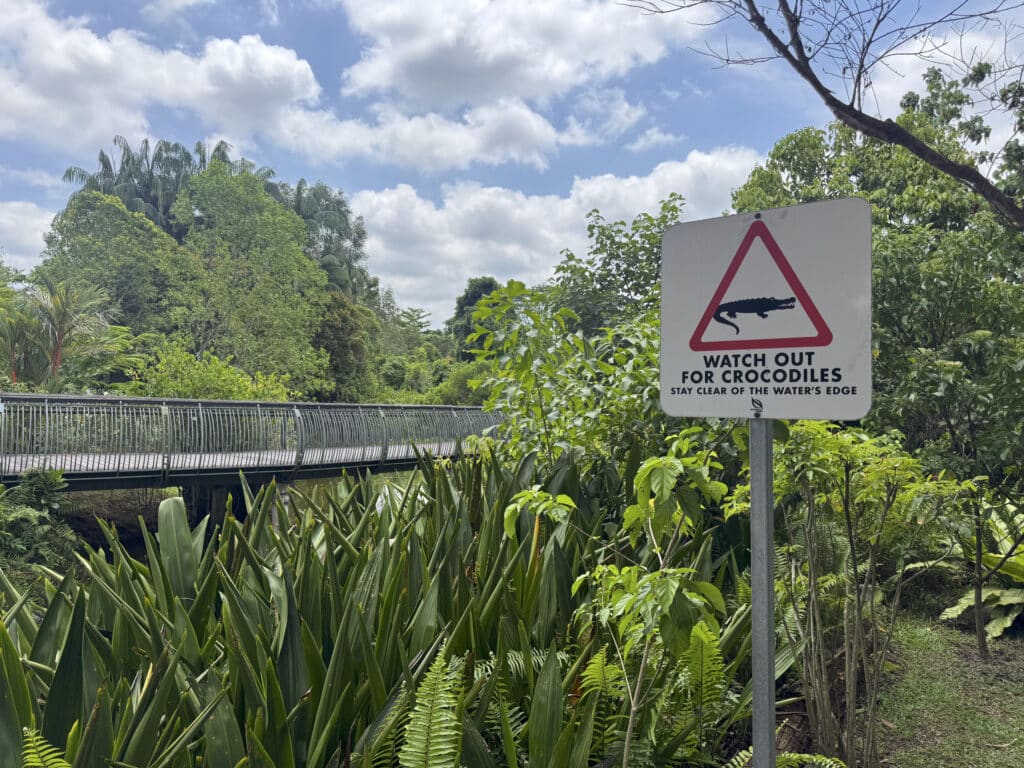 Sungei Buloh Wetland Reserve: Singapur zwischen Mangroven und Krokodilen erleben