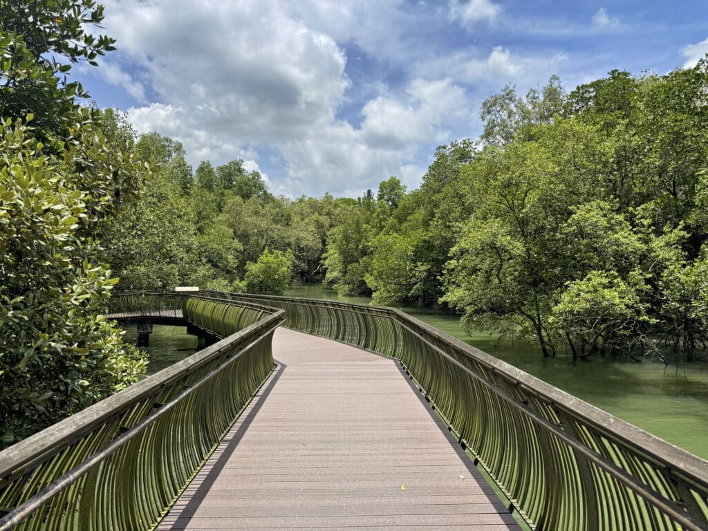 Sungei Buloh Wetland Reserve: Singapur zwischen Mangroven und Krokodilen erleben