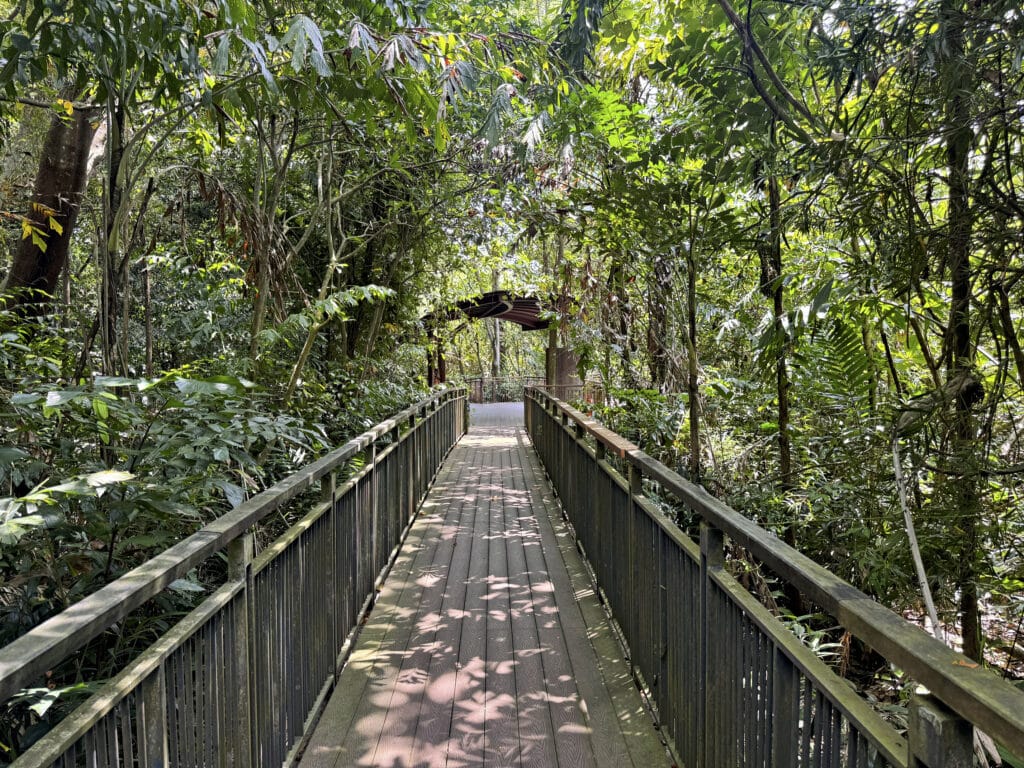 Sungei Buloh Wetland Reserve: Singapur zwischen Mangroven und Krokodilen erleben