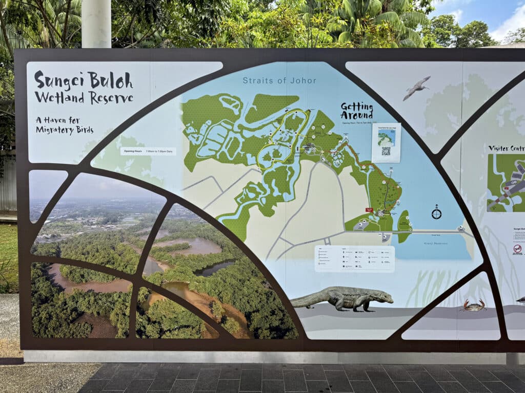 Sungei Buloh Wetland Reserve: Singapur zwischen Mangroven und Krokodilen erleben
