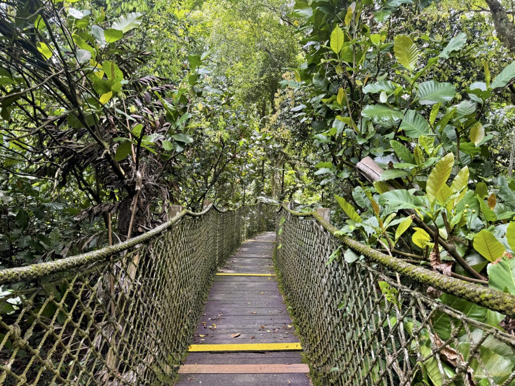 Sungei Buloh Wetland Reserve - Forest Trail und Mid Canopy Walk