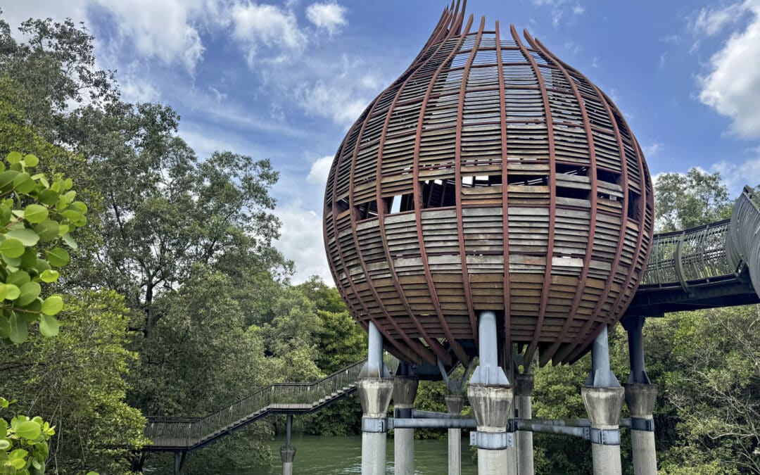 Sungei Buloh Wetland Reserve: Singapur zwischen Mangroven und Krokodilen erleben