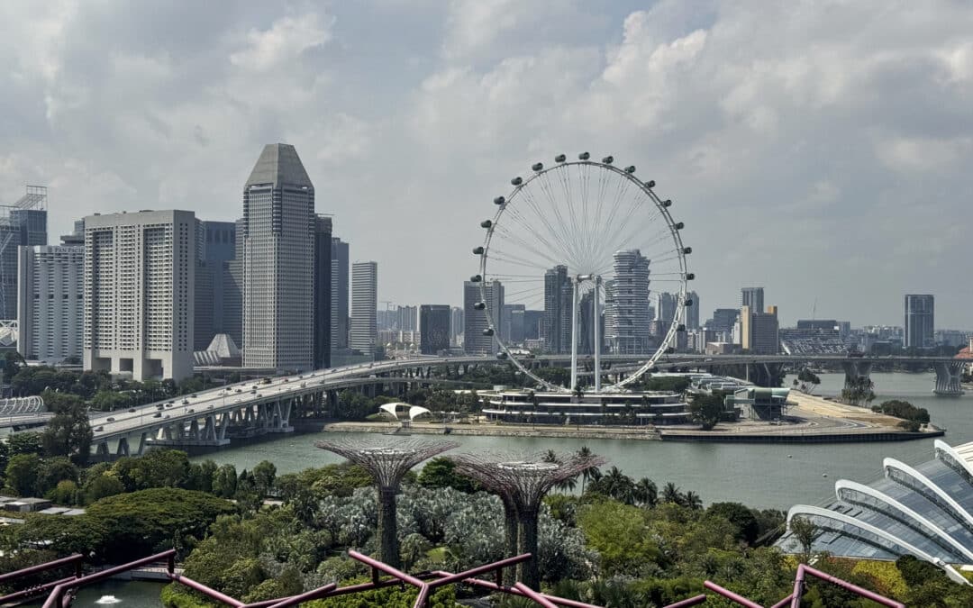 Supertree Observatory: Aussicht über die Gardens by the Bay in Singapur