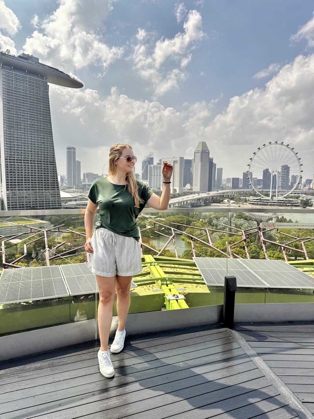 Supertree Observatory: Aussicht über die Gardens by the Bay in Singapur